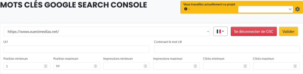 Nextlevel peut s'appuyer sur la google search console
