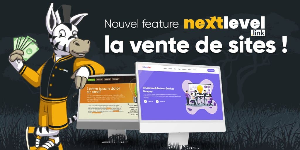 La vente de site sur Nexlevel.link plateforme d'achat de liens positionnés