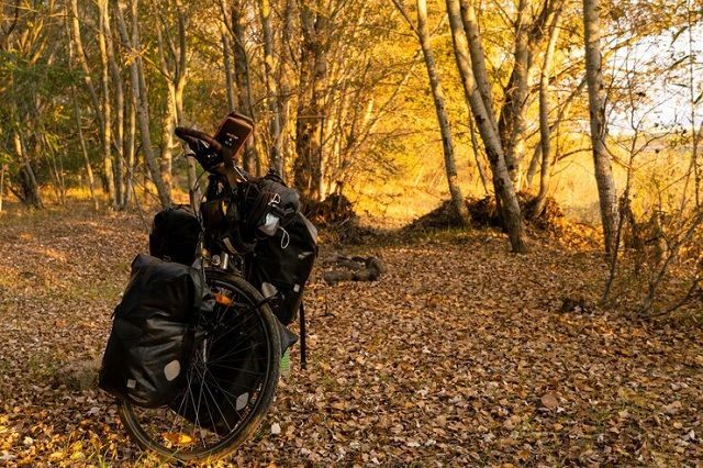 Photo vélo bikepacker chargé de sacs en forêt