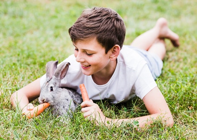 Quelle est la race de lapin adéquate pour un enfant âgé de cinq ans ?