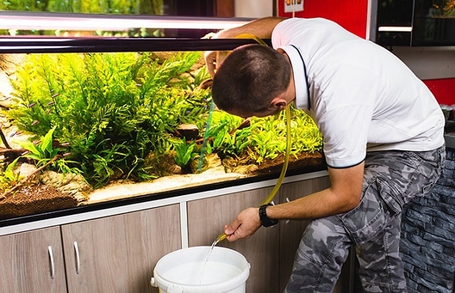 un homme nettoyant un aquarium