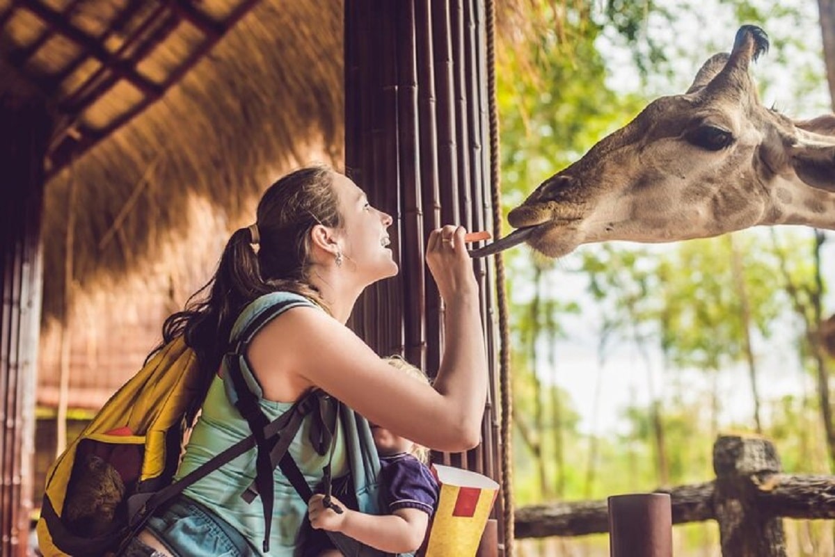 Le tourisme animalier : bénéfique ou préjudiciable pour les animaux ?
