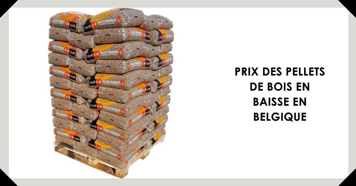 prix des pellets de bois en baisse en belgique 1
