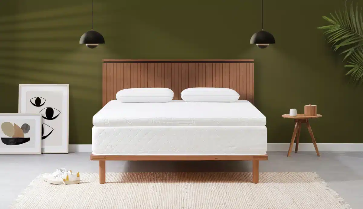 Surmatelas Bambou 8 cm de mémoire de forme Fermeté personnalisable : souple ou ferme Raffermir un matelas trop souple Améliorer le confort d'un matelas trop rigide Housse respirante en fibre de Bambou Déhoussable, hypoallergénique