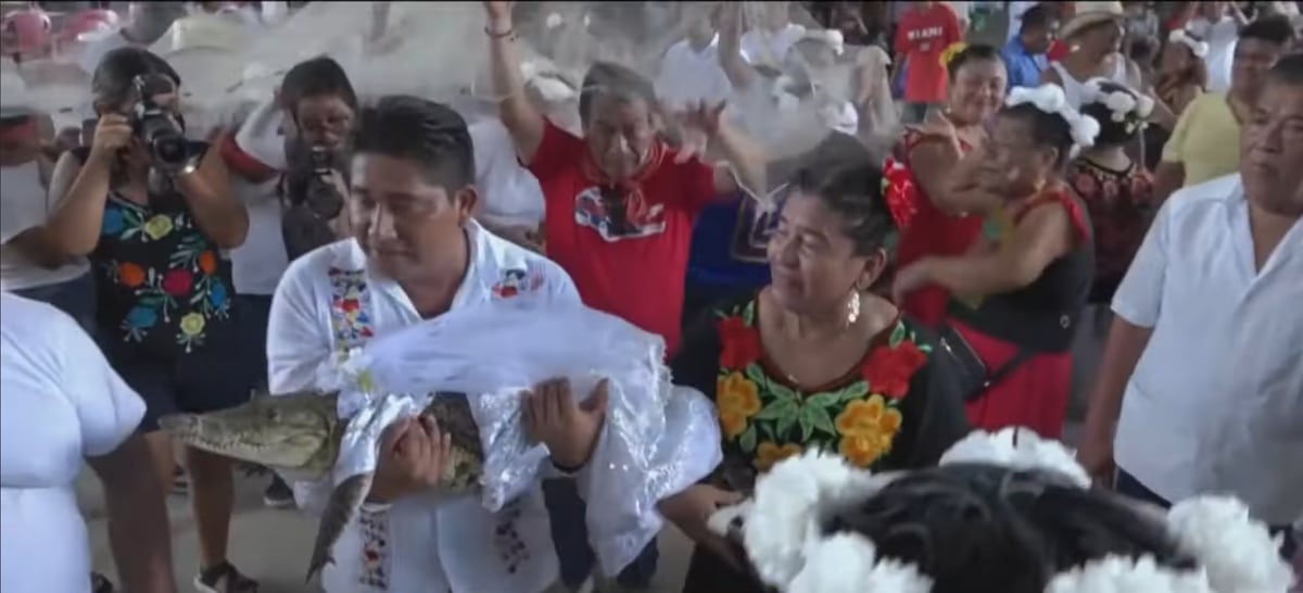 Un maire mexicain épouse une femelle caïman dans un rituel ancestral Le mariage insolite entre un homme politique et un reptile