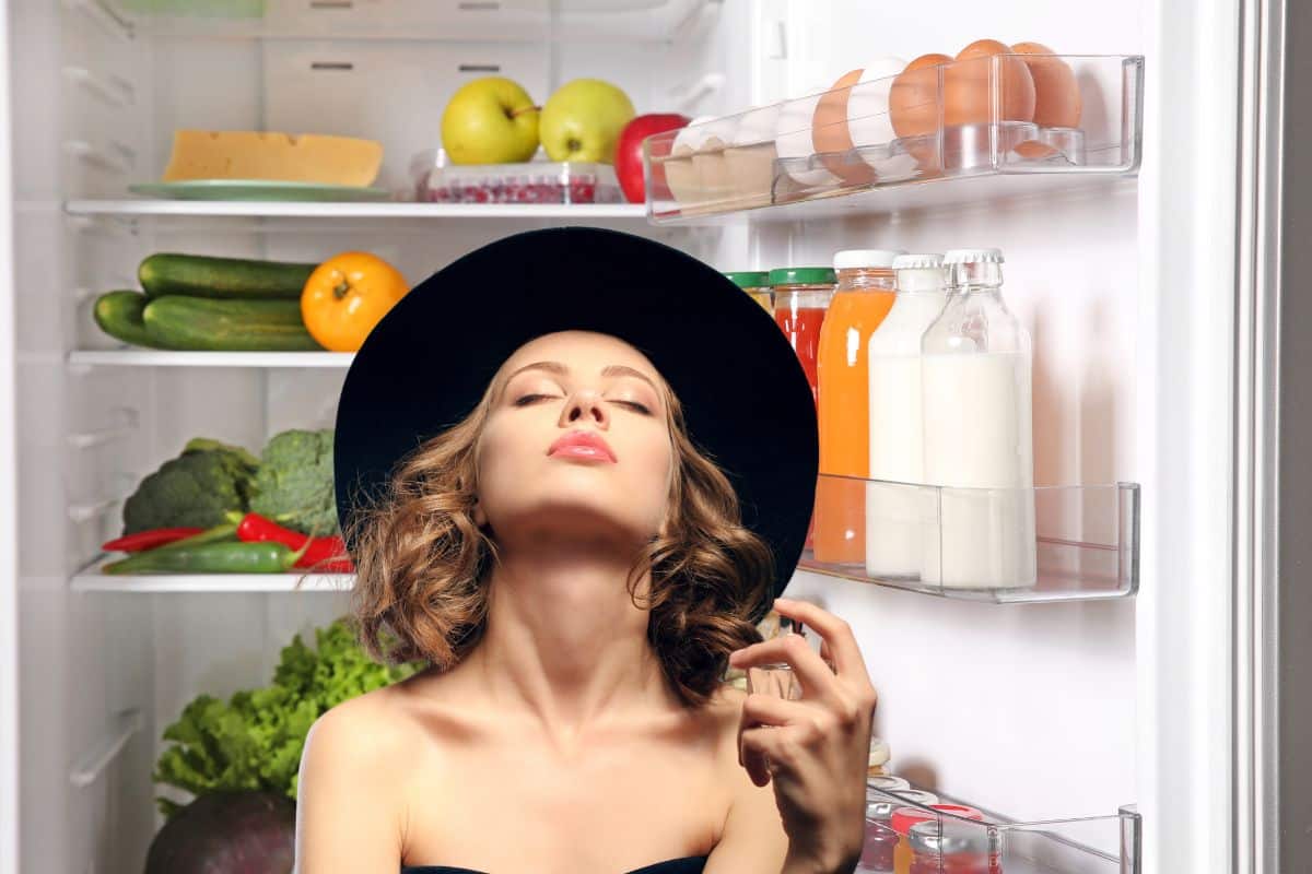 5 astuces pour un frigo qui sent le frais