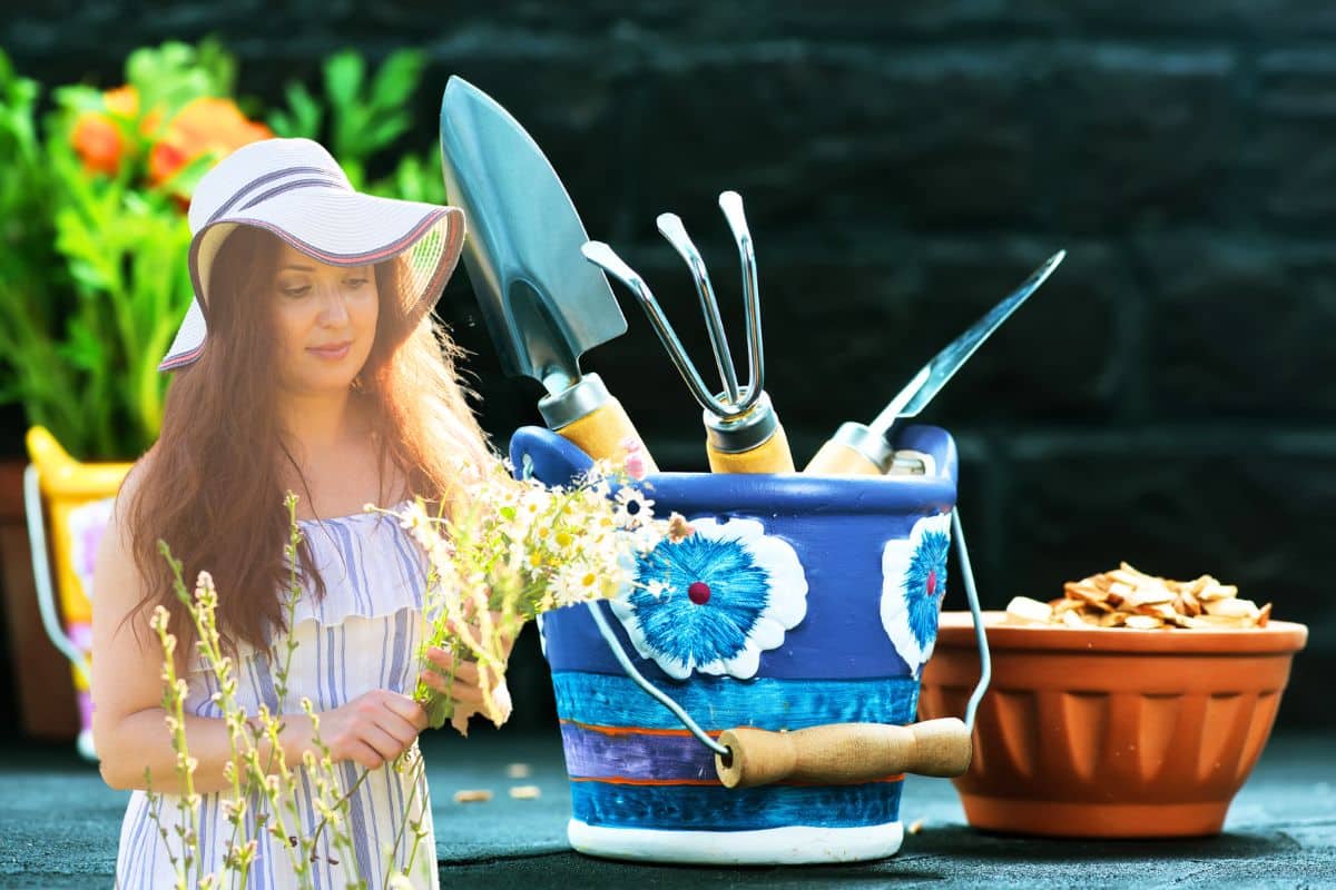 panoplie d'outils pour cultiver, entretenir et embellir son jardin