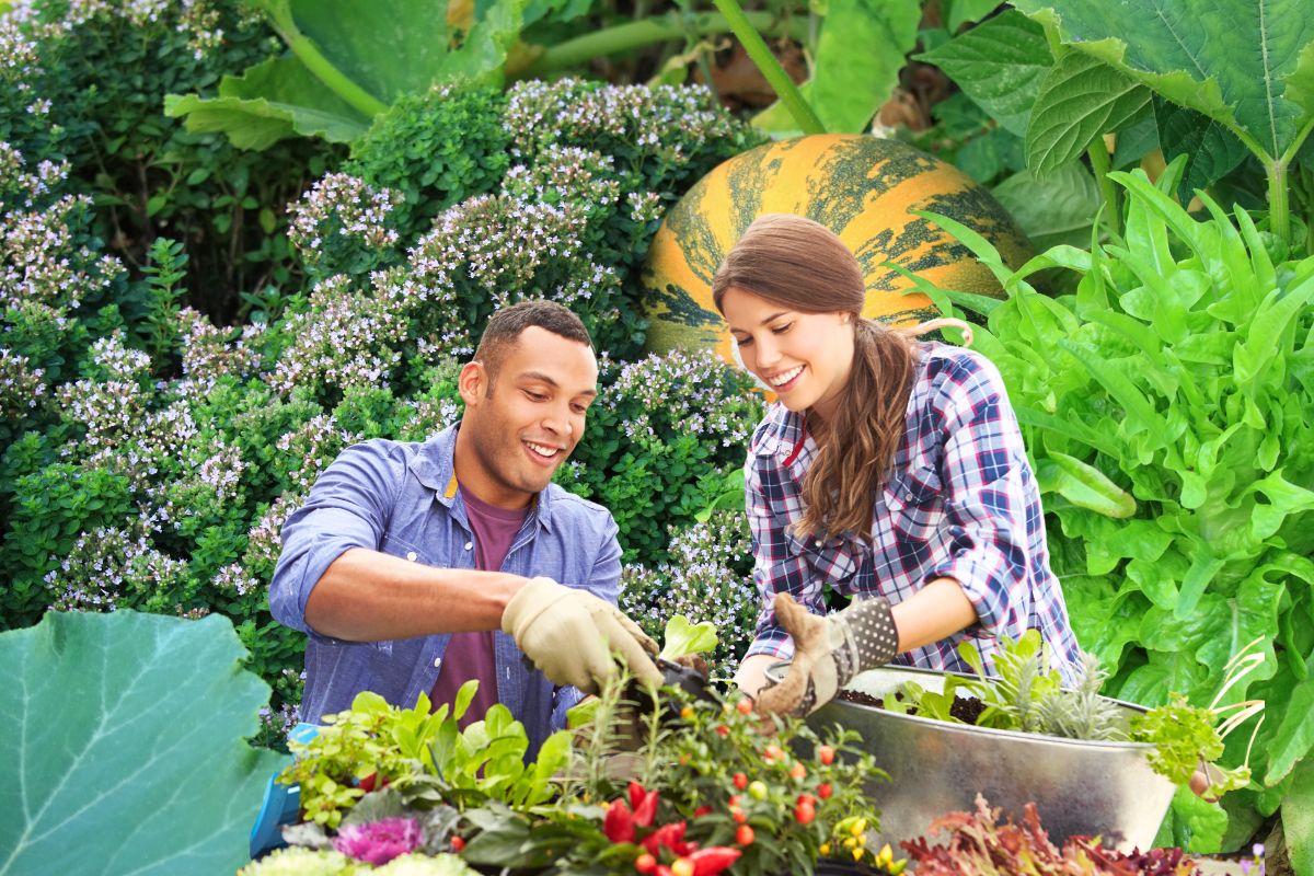 De nos jours, un concept gagne du terrain dans le monde du jardinage