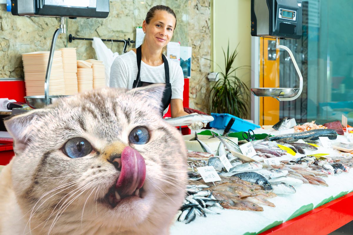 La poissonnerie en ligne apparaît comme une solution pratique pour bénéficier des vertus nutritives du poisson. Dans cet article, on vous donne les raisons pour faire ses courses dans une e-poissonnerie.