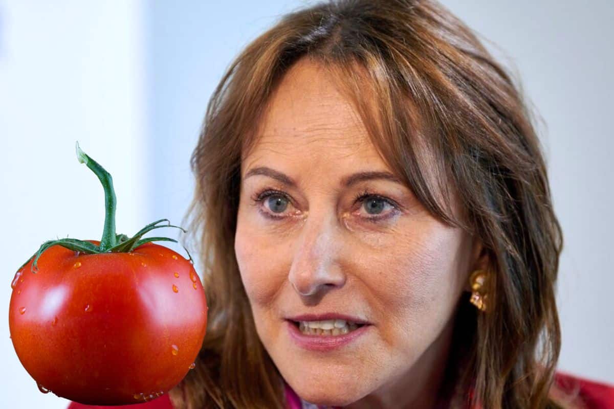 L'ancienne ministre PS Ségolène Royal a critiqué le goût des tomates espagnoles. Elle estime qu'elles sont "immangeables". Des propos qui n'ont pas du tout plu au Premier ministre espagnol Pedro Sanchez qui demande "du respect".
