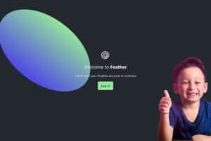 Feather est un outil développé par OpenAI qui permet aux utilisateurs de partager, déployer et monétiser des modèles d'apprentissage automatique. Il offre une API facile à utiliser qui crée une interface visuelle pour les modèles, permettant leur exécution dans un environnement de production.